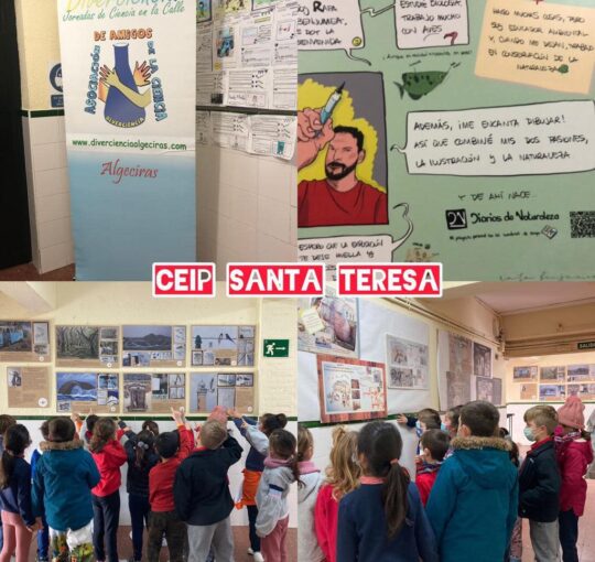 EXPOSICIÓN: "DE LA OBSERVACIÓN AL CONOCIMIENTO"