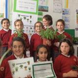 The Power Of Plants. Stem Discovery Week 2018