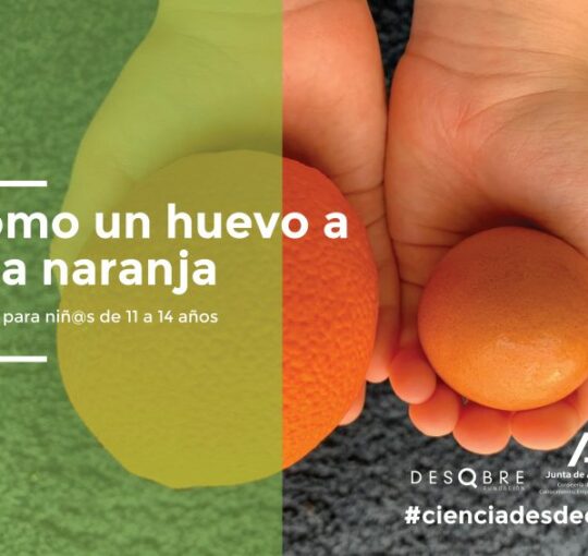 COMO UN HUEVO A UNA NARANJA