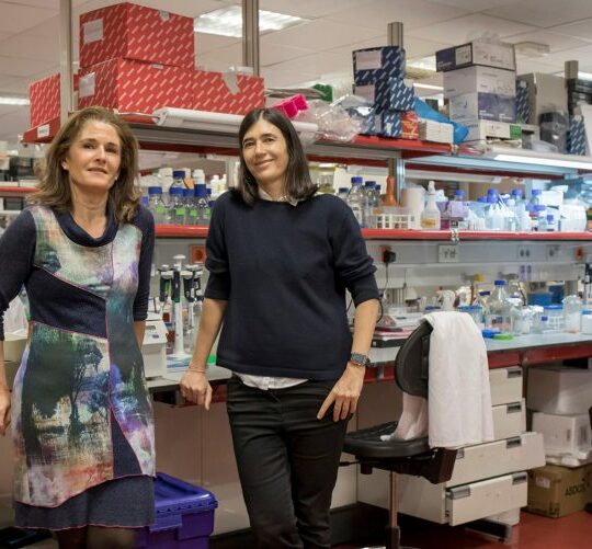 "TELOMERE THERAPEUTICS"