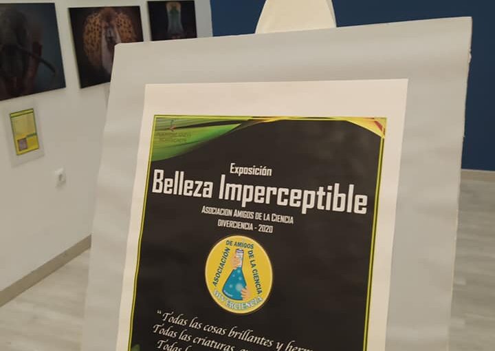 EXPOSICIÓN BELLEZA IMPERCEPTIBLE